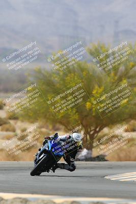 media/Apr-10-2022-SoCal Trackdays (Sun) [[f104b12566]]/Turn 5 Tree of Life (1040am)/